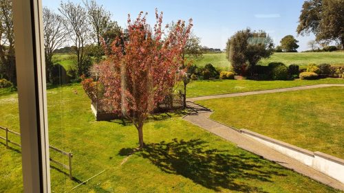 The View From Treetops