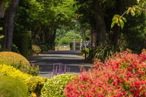Blanchelande Nursing Home
